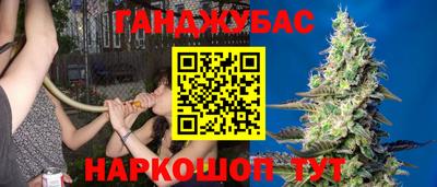сатива Краснодар