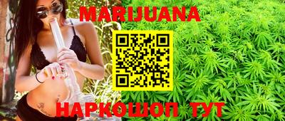 сатива Краснодар